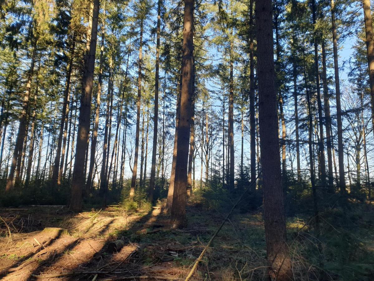 De Eekhoorn Villa Putten Bagian luar foto