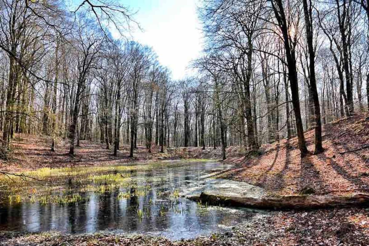 De Eekhoorn Villa Putten Bagian luar foto