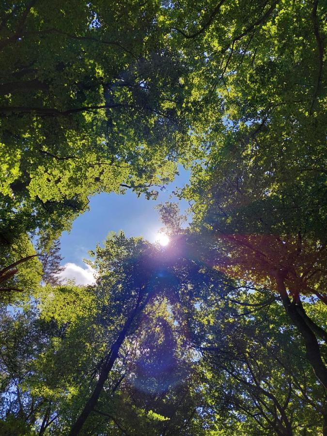 De Eekhoorn Villa Putten Bagian luar foto